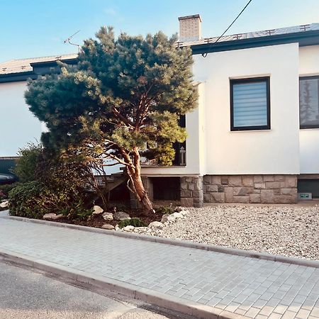 Relaxacni Studio Vera S Ubytovanim Valtice Exterior foto