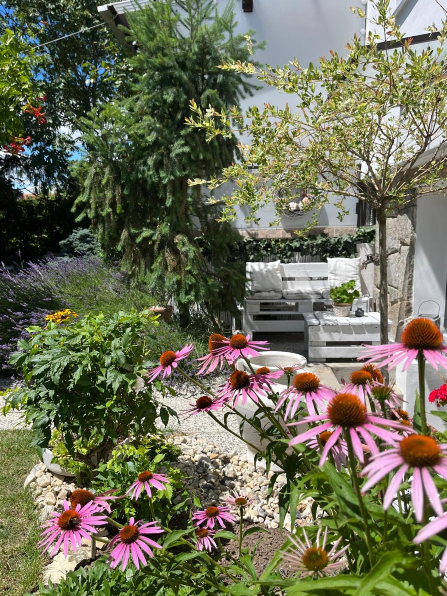 Relaxacni Studio Vera S Ubytovanim Valtice Exterior foto